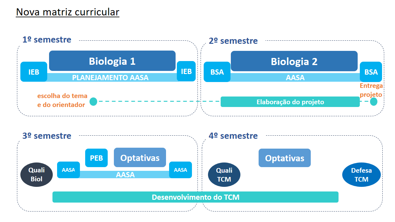 Matriz Curricular 2024